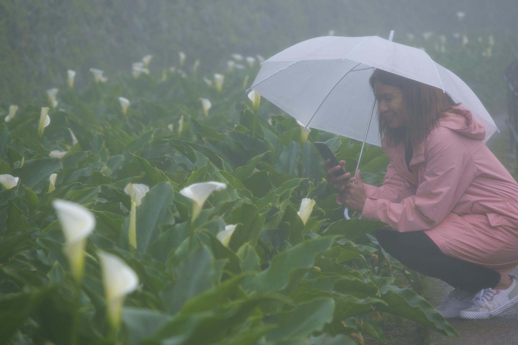 薔琵颱風沒登陸，但也沒真的被風吹散——關於那 1 公里的距離與消失 — 相關圖片2