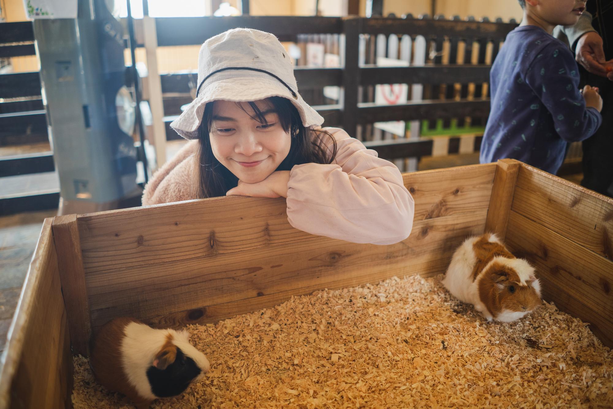 一碗豆花帶上飛機：日本女孩的萬呎告白，與台灣甜品的溫柔攻略 — 時代熱搜美食深度報導