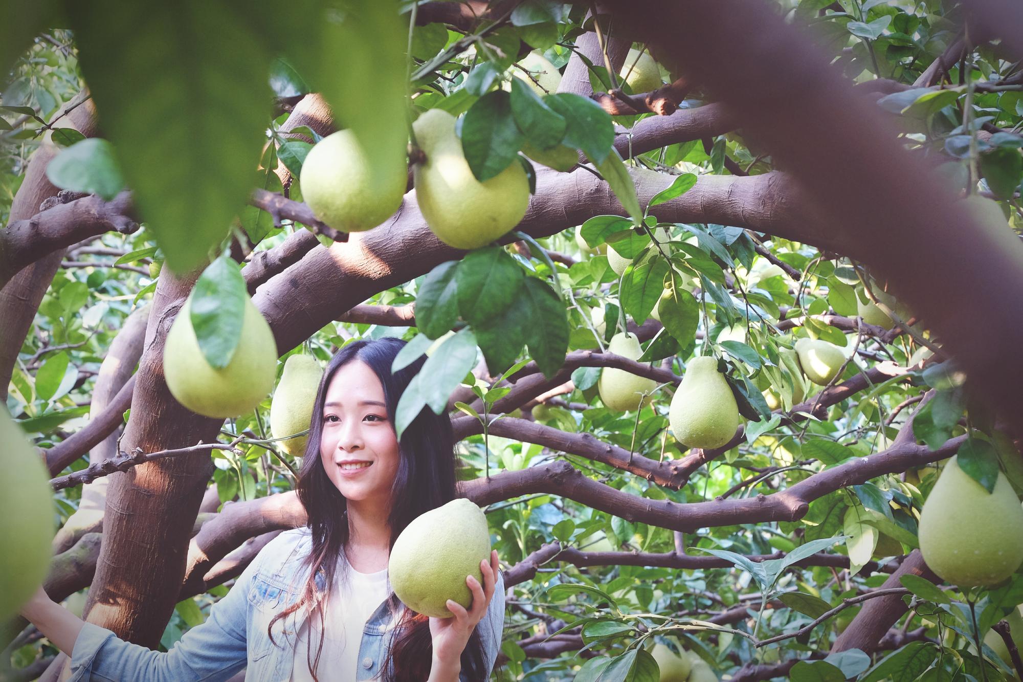 文旦柚遇上粉紅兔——花蓮這場中秋行銷，把產地變成了城市收藏 — 相關圖片3