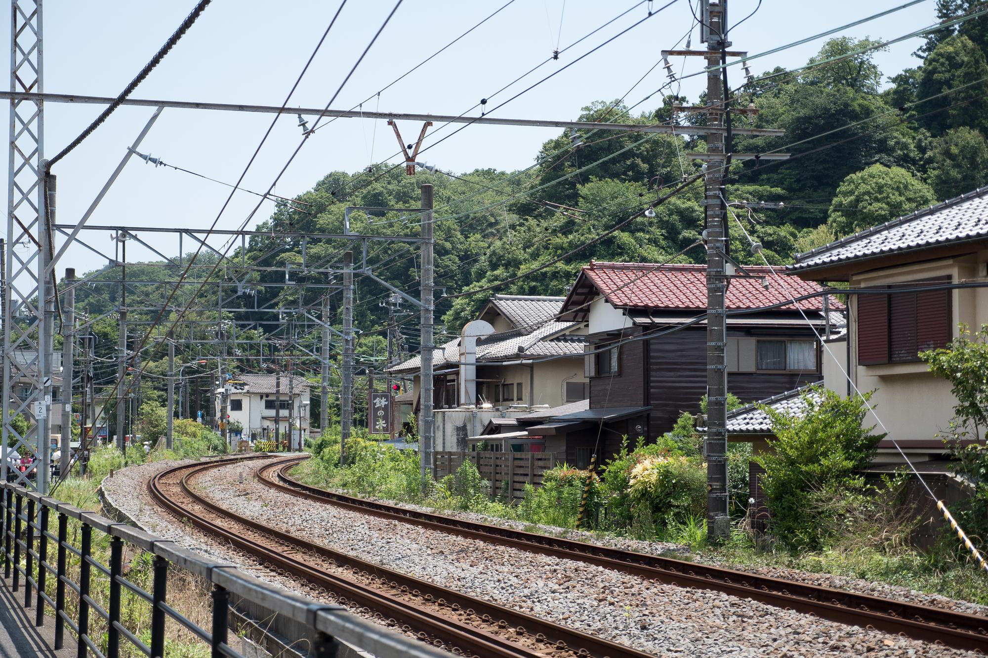 阿里山林鐵又停了——那條「能搭就趕快去搭」的百年鐵路 — 相關圖片2