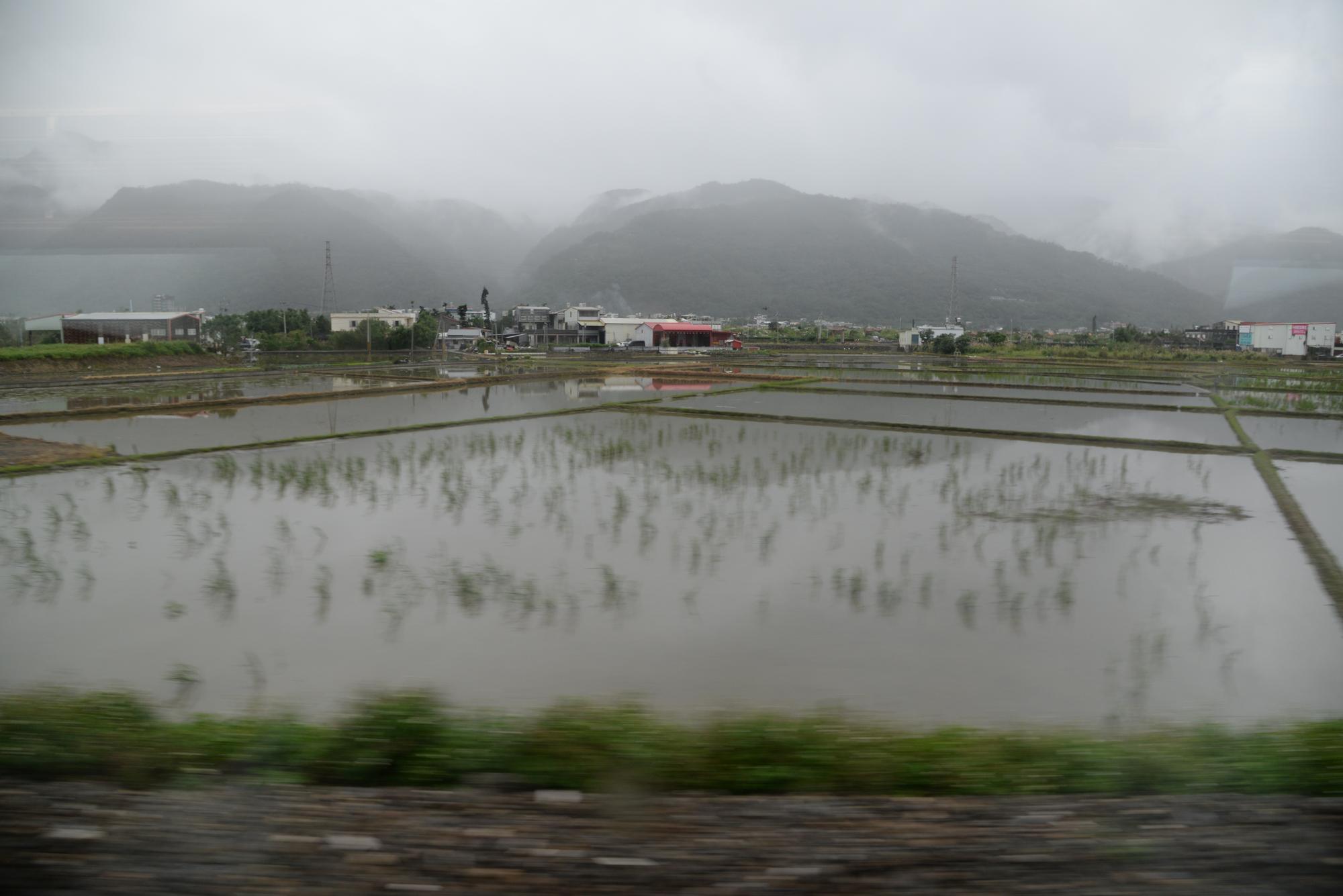 那些日子,南台灣變成一座島——2026年八月暴雨記事 — 時代熱搜生活深度報導