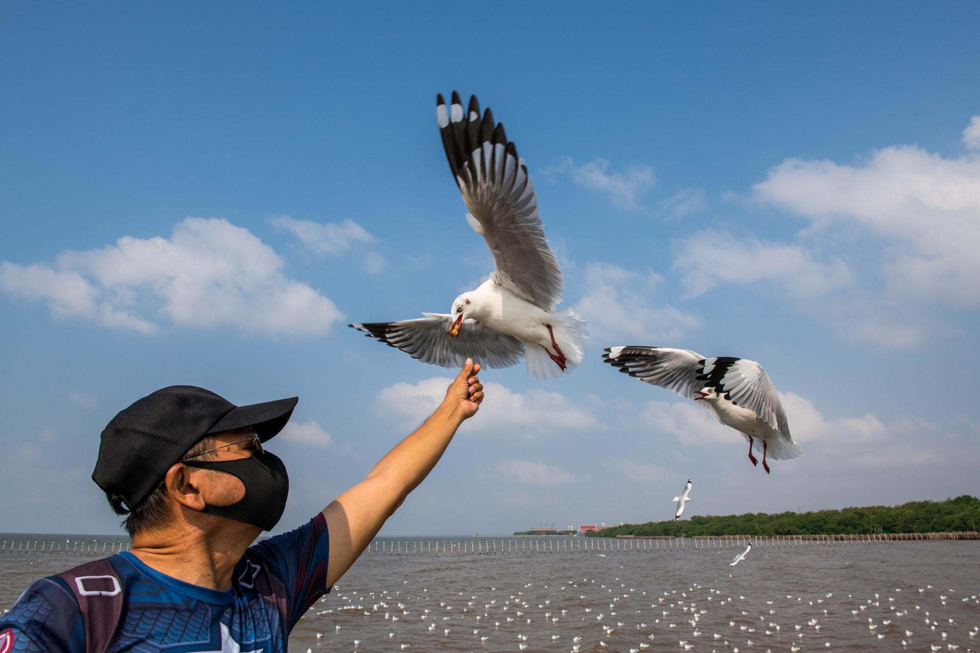 黑毛球與花魁鳥——屏東海生館那場五年後才揭曉的變身 — 生活文章主圖，由時代熱搜江里歐撰寫