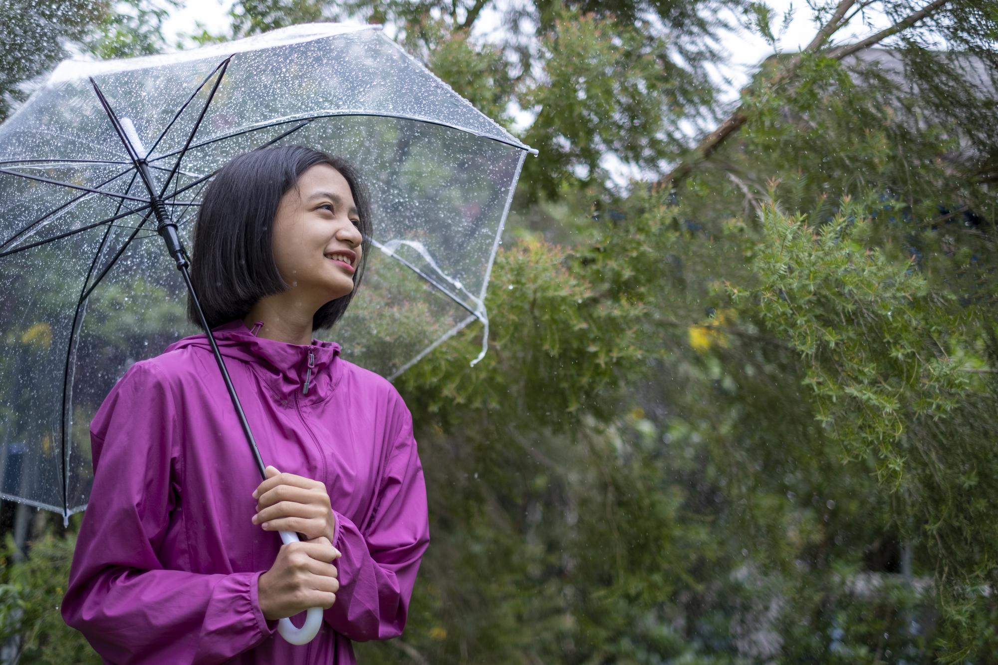 薔蜜颱風在 600 公里外，台灣西部卻熱成這樣？三個你該知道的氣象原理 — 相關圖片3