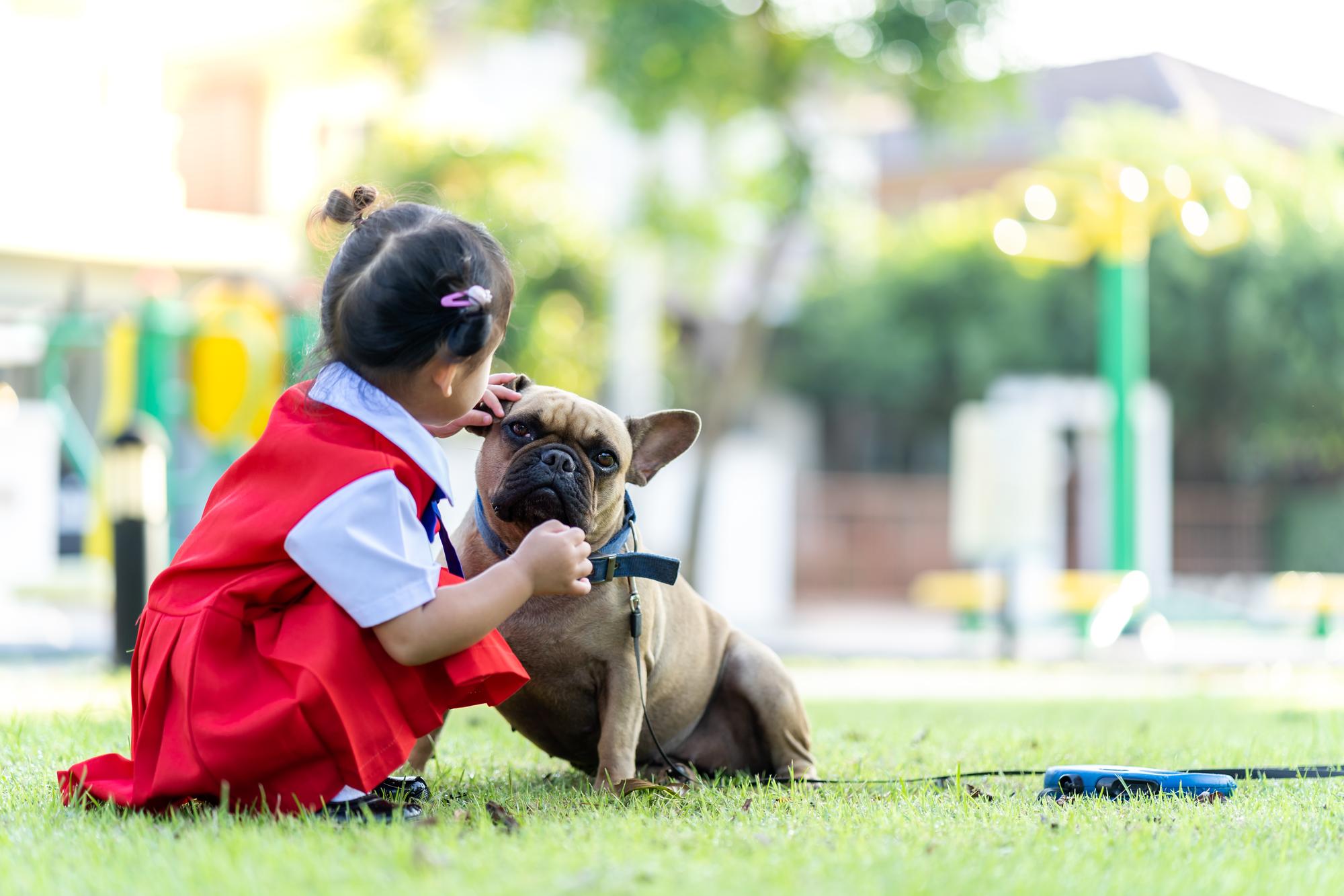 退役緝毒犬沒有退休金——但牠們其實超適合領養 — 生活文章主圖，由時代熱搜江里歐撰寫