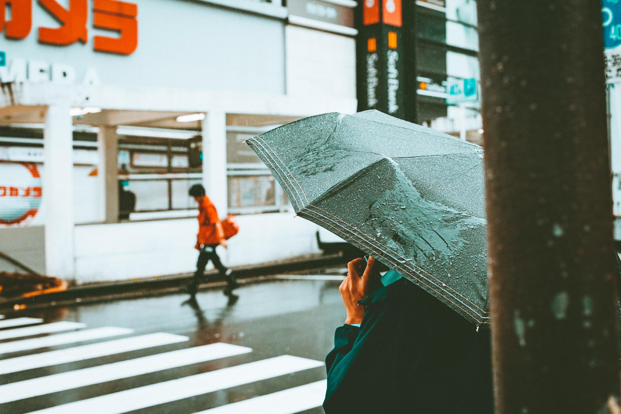 豪雨停班課：那些中午才放假的荒謬時刻 — 相關圖片3