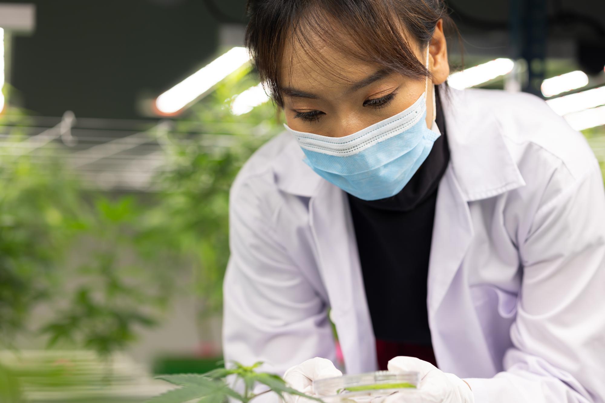 醫院減碳很燒錢？衛福部推醫療永續聯盟，感染控制和環保怎麼平衡 — 時代熱搜健康深度報導