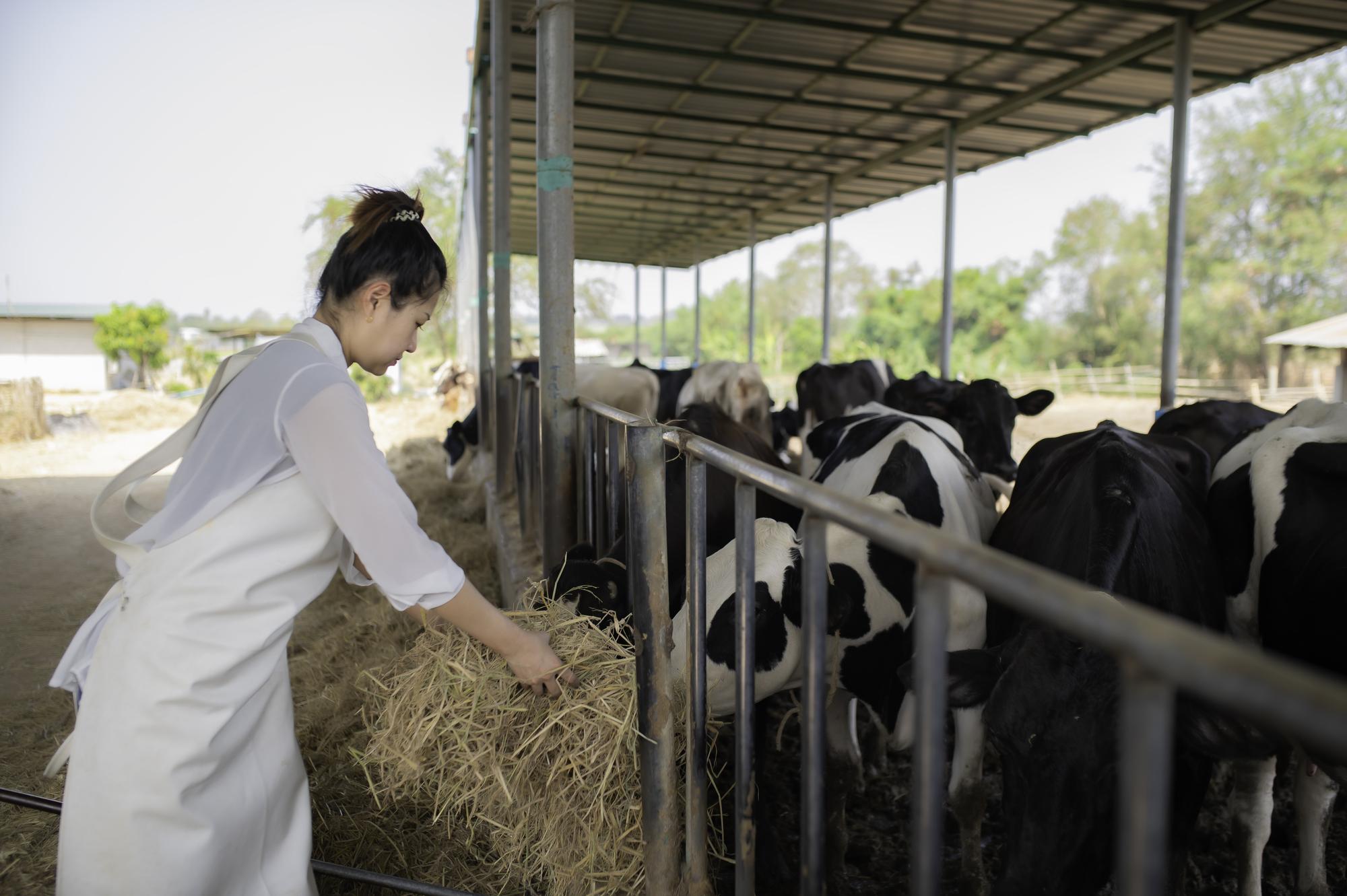全球最貴牛奶在台灣:一瓶鮮乳裡,藏著多少人情與算計? — 美食文章主圖，由時代熱搜蘇曉曼撰寫