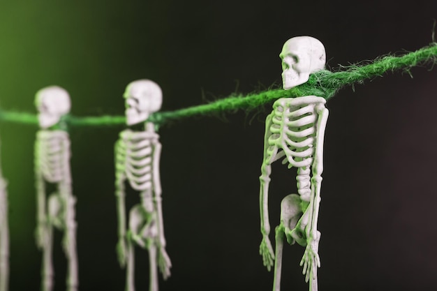 變革藍綠色？別跟我談流行，我只談骨架