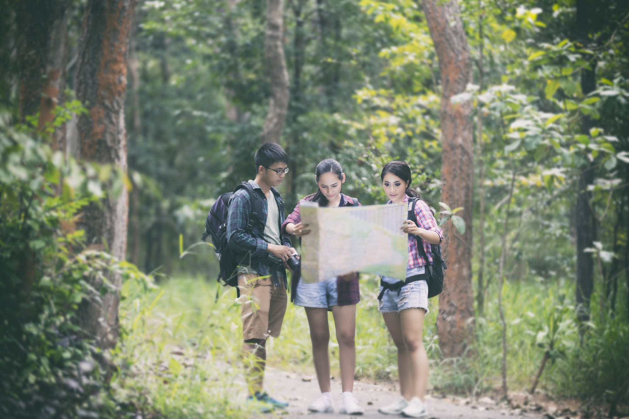 十元入園奧萬大,但你可能得先在山路上等等 — 時代熱搜生活深度報導