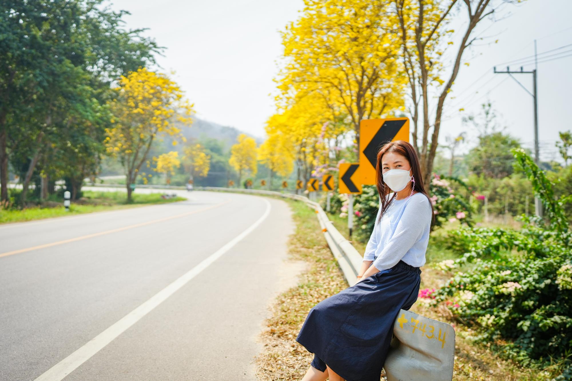 新社花海三麗鷗登場：400萬人次背後，那些關於等待與移動的小事 — 時代熱搜生活深度報導