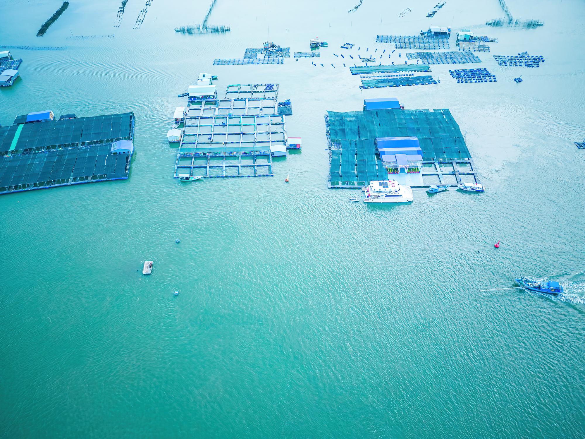把機房丟進海裡？微軟中途喊停，但中韓玩更大——海底資料中心能跑多久？ — 相關圖片2