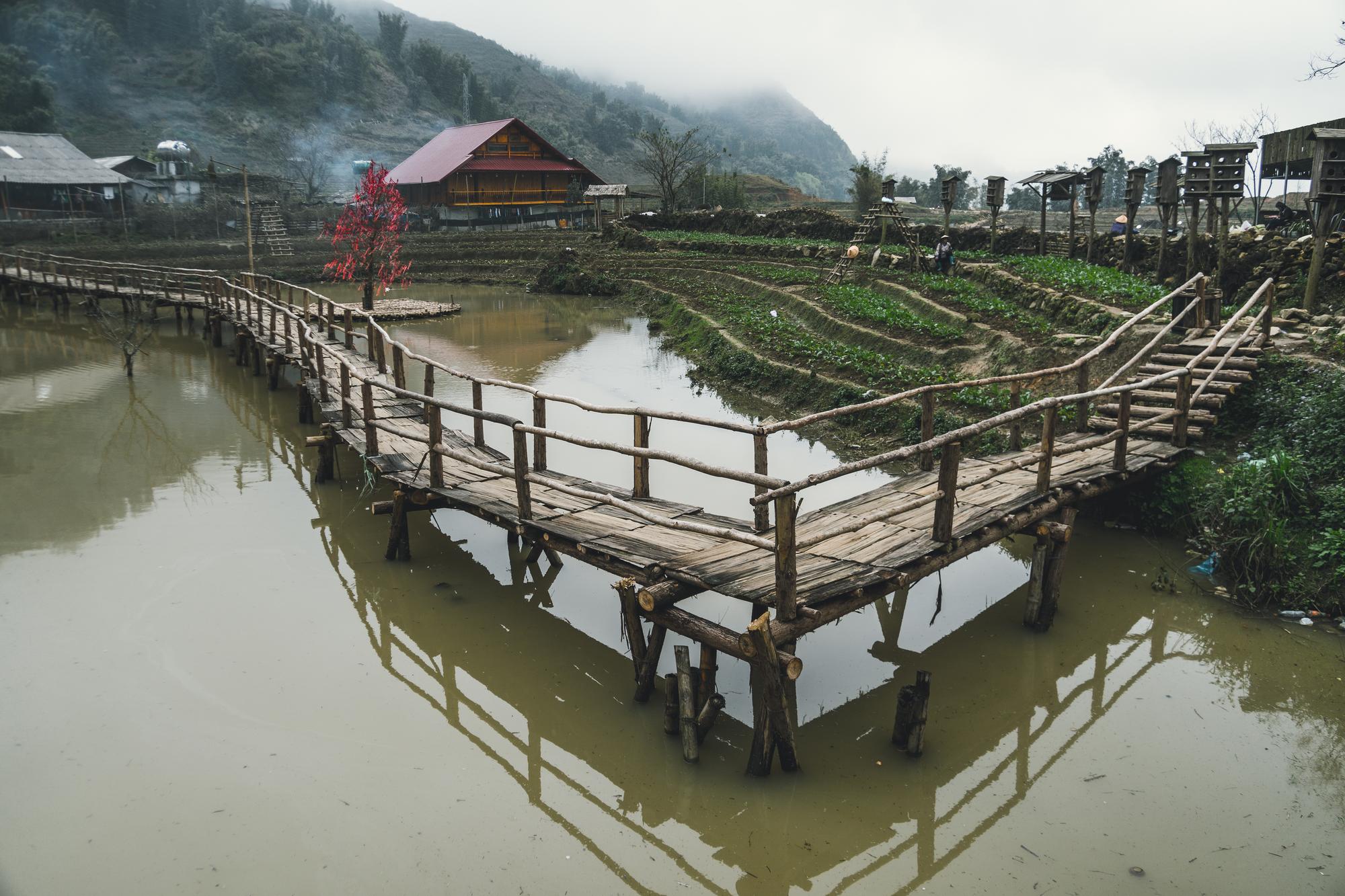 一場雨後，菜市場裡那些回不去的價格 — 時代熱搜生活深度報導