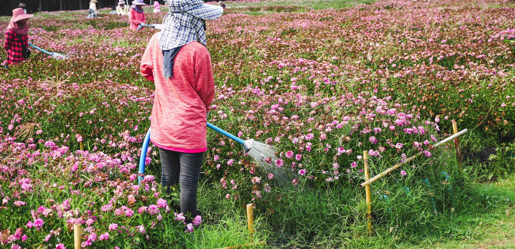 薔琵颱風沒登陸，但也沒真的被風吹散——關於那 1 公里的距離與消失 — 相關圖片3