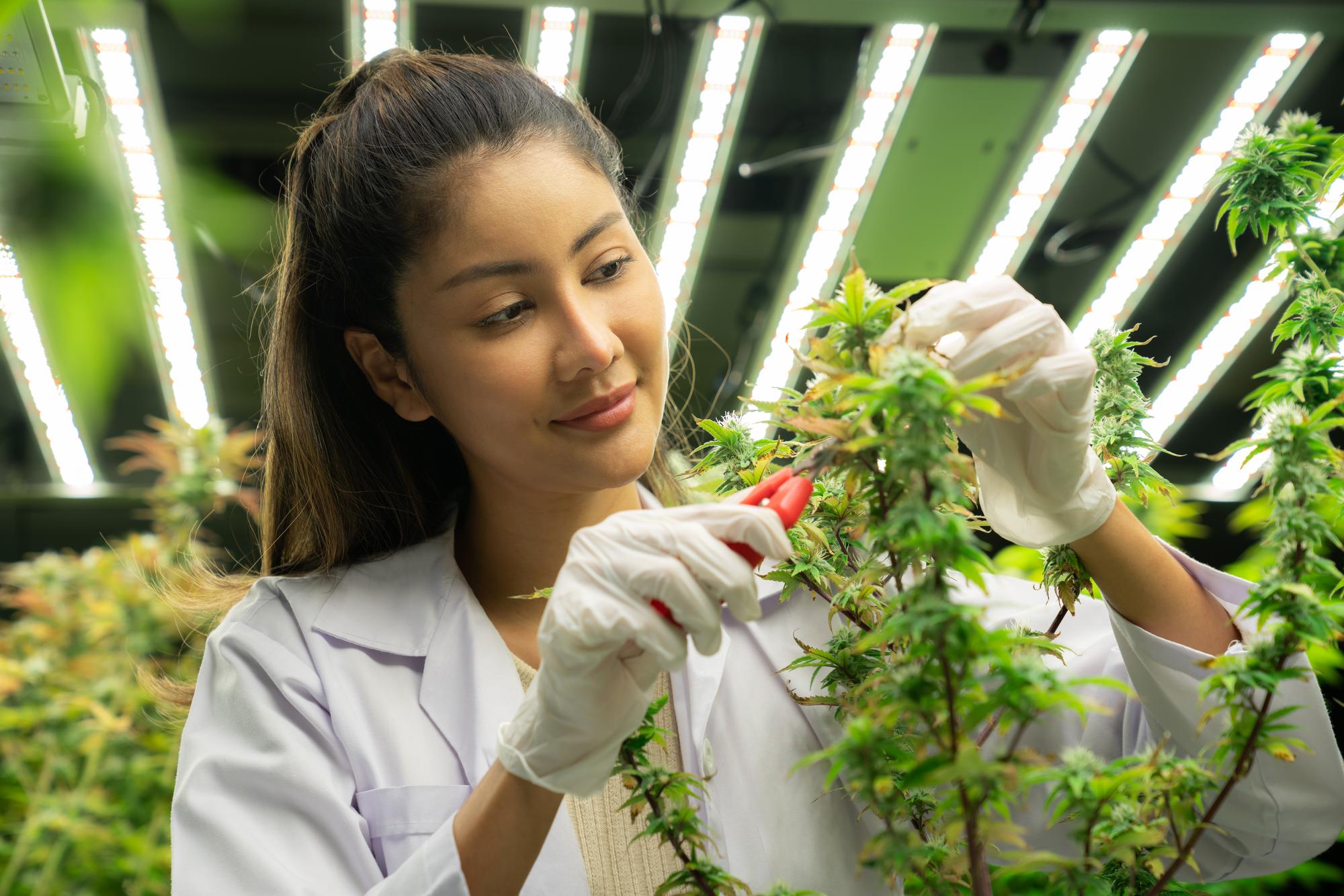 一支康普茶瓶標背後,藏著地方價值的重新定義 — 相關圖片2