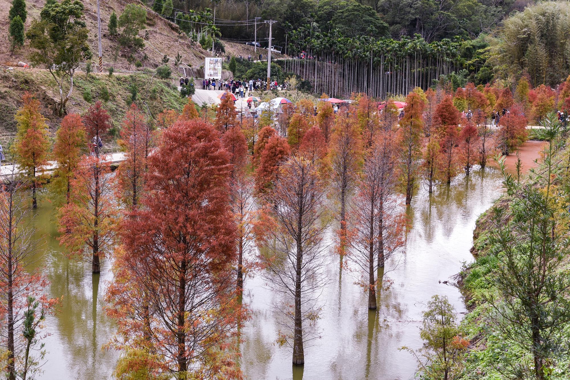 北部開始發霉，南部還在流汗——東北季風來了，台灣真的是同一座島嗎？ — 時代熱搜生活深度報導