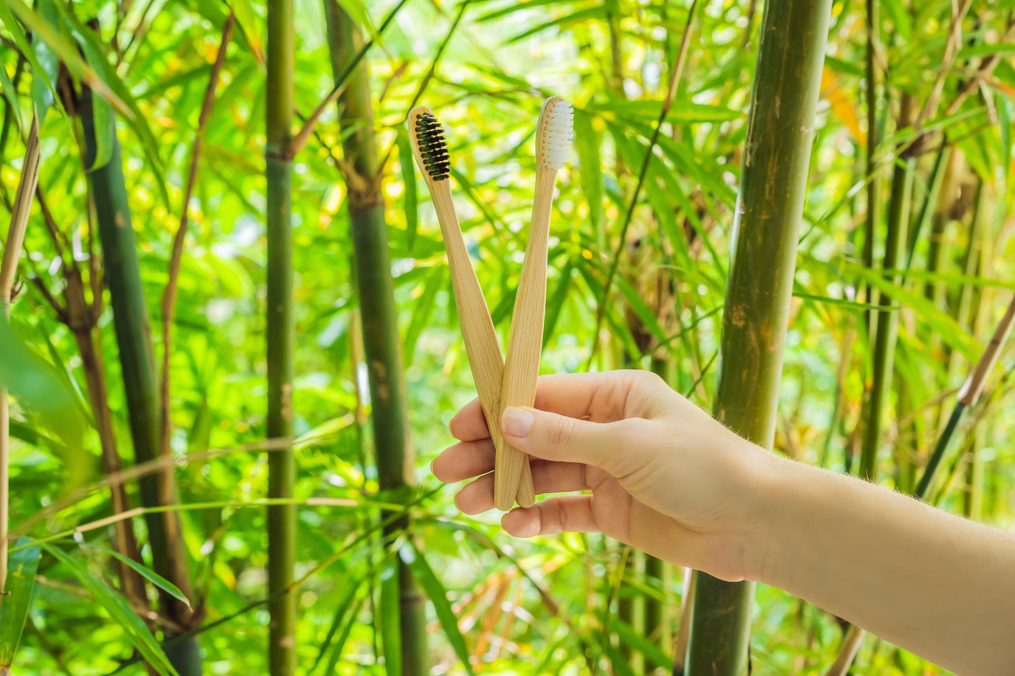 竹子的第二人生：當阿嬤的竹蓆長成永續建材 — 時代熱搜生活深度報導