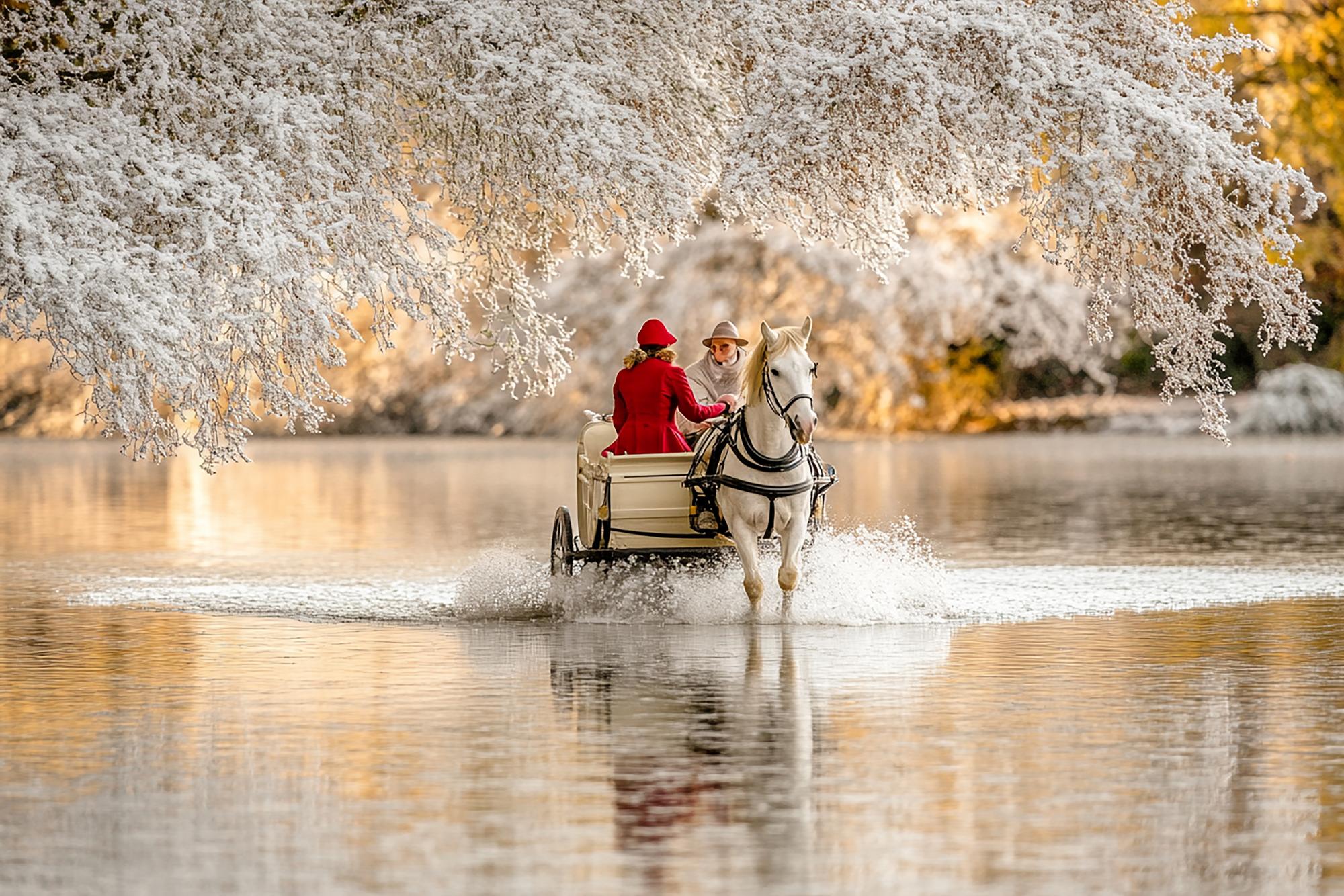 薔琵颱風過後,雪見為什麼還不開?關於那條林道與等待的時間 — 時代熱搜生活深度報導