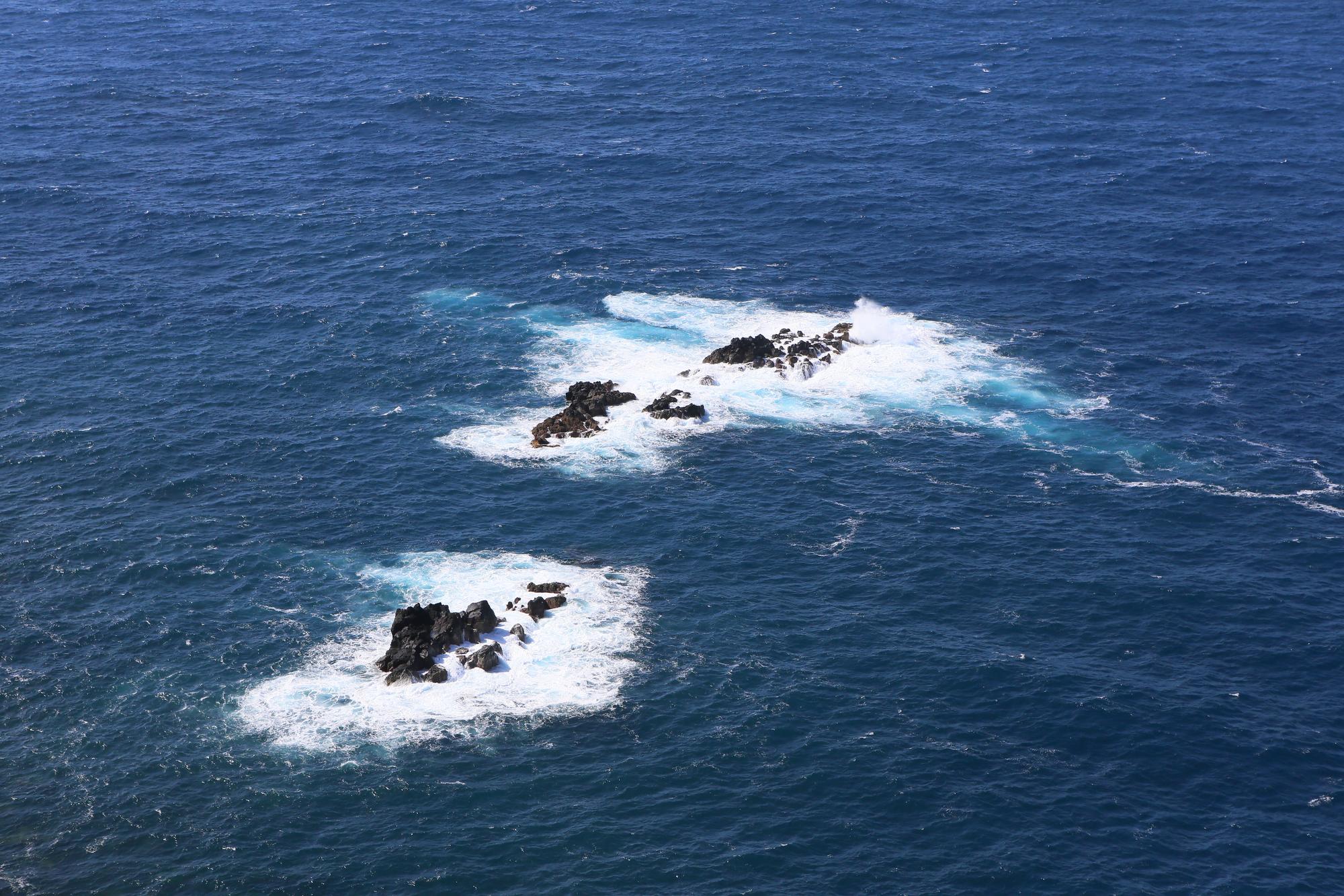 海豚來了，小管散了——澎湖漁民的浪漫與帳單 — 相關圖片2