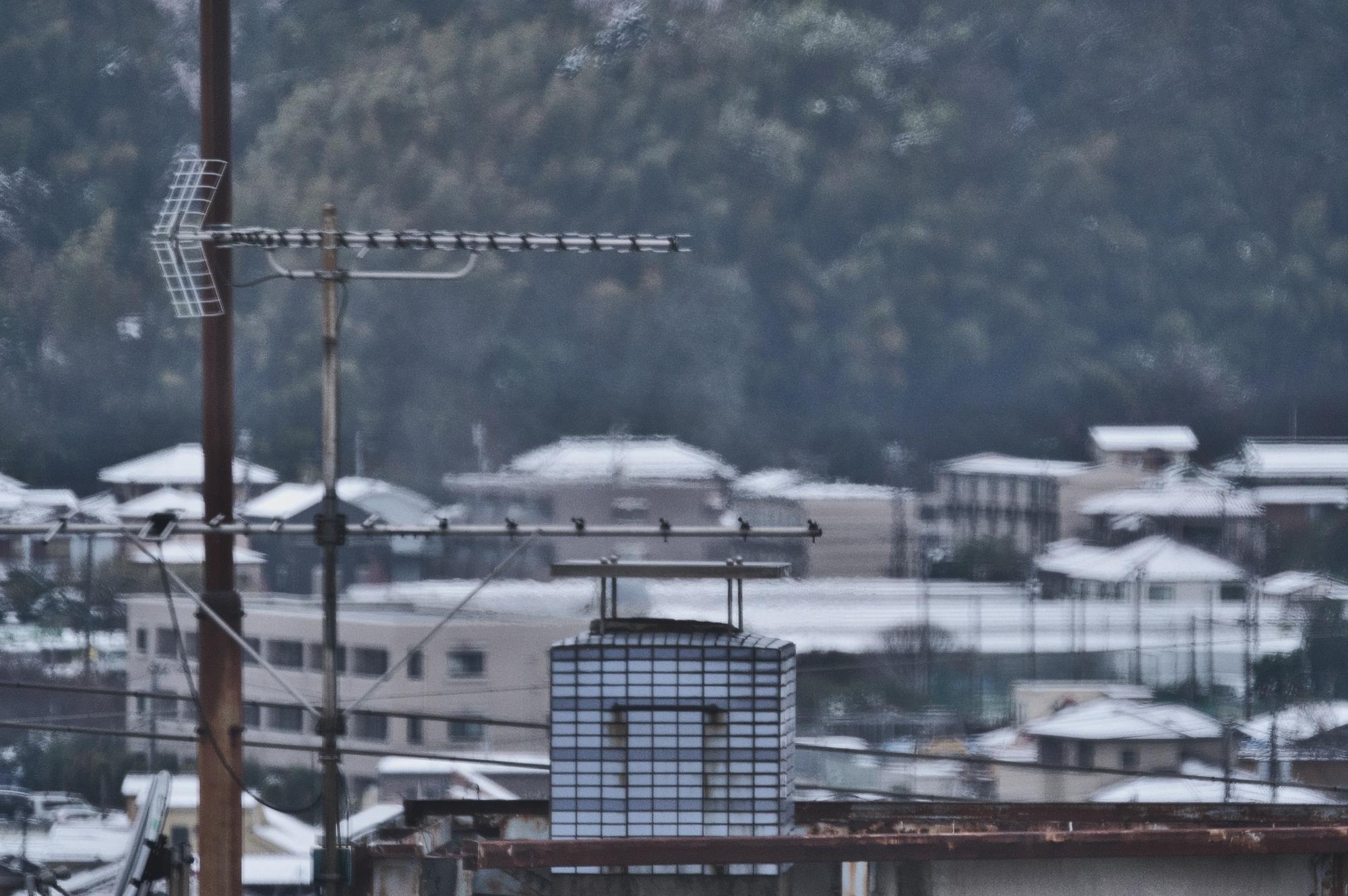 熊本強震後的半導體韌性：當災害成為產業日常的壓力測試 — 財經文章主圖，由時代熱搜林怡君撰寫