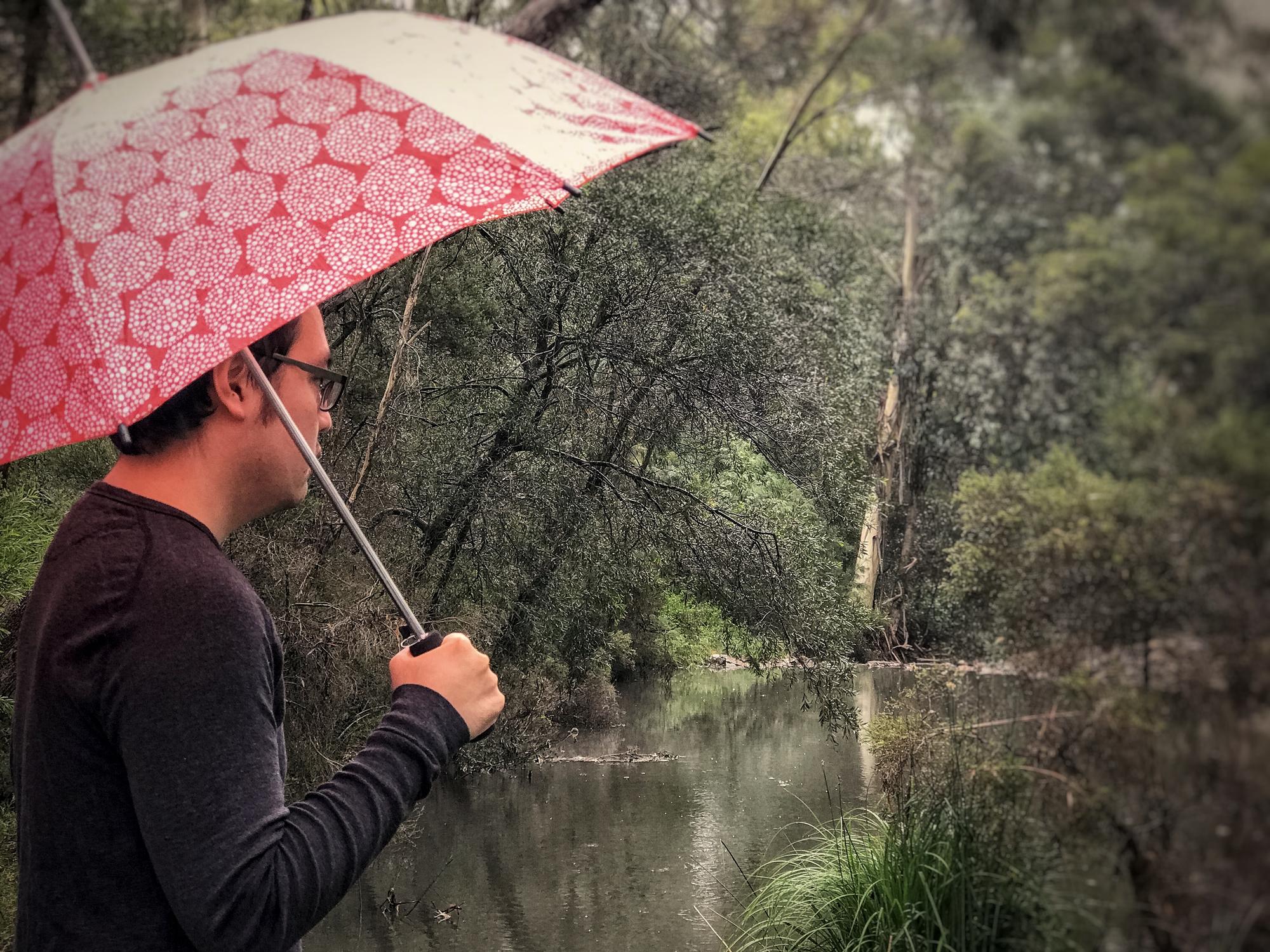 沒有颱風警報的那些天，雨還是會來 — 相關圖片2